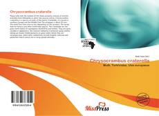 Chrysocrambus craterella kitap kapağı