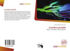 Portada del libro de Crambus pratella