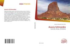 Acacia Schinoides kitap kapağı