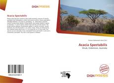Portada del libro de Acacia Spectabilis