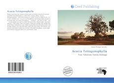 Acacia Tetragonophylla的封面