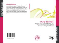 Buchcover von David Goldstein