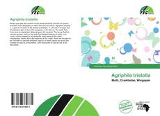 Portada del libro de Agriphila tristella