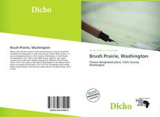 Buchcover von Brush Prairie, Washington