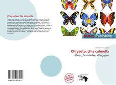 Copertina di Chrysoteuchia culmella