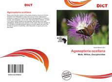 Copertina di Agonopterix ocellana