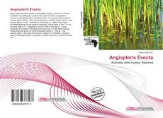 Couverture de Angiopteris Evecta