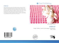 Ambriel的封面