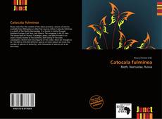 Обложка Catocala fulminea