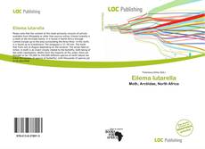 Couverture de Eilema lutarella