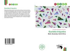 Couverture de Euclidia triquetra