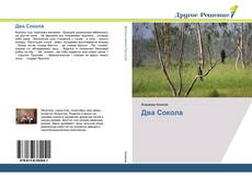 Bookcover of Два Сокола