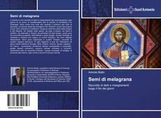 Bookcover of Semi di melagrana