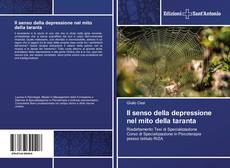 Bookcover of Il senso della depressione nel mito della taranta