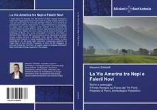 Bookcover of La Via Amerina tra Nepi e Falerii Novi