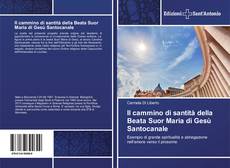 Bookcover of Il cammino di santità della Beata Suor Maria di Gesù Santocanale