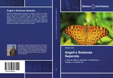 Buchcover von Angeli e Sostanze Separate