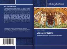 Bookcover of Via pulchritudinis