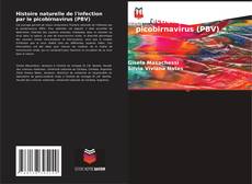 Buchcover von Histoire naturelle de l'infection par le picobirnavirus (PBV)