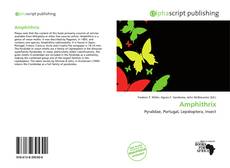 Borítókép a  Amphithrix - hoz
