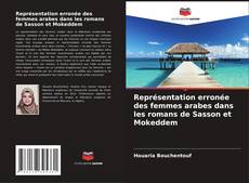 Buchcover von Représentation erronée des femmes arabes dans les romans de Sasson et Mokeddem
