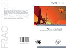 Buchcover von Acrobasis tumidana