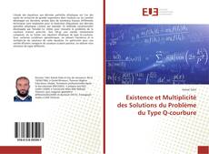 Copertina di Existence et Multiplicité des Solutions du Problème du Type Q-courbure
