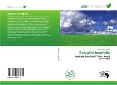 Buchcover von Baloghia Inophylla