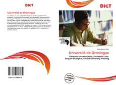 Université de Groningue kitap kapağı