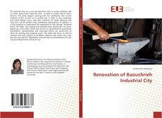 Renovation of Baouchrieh Industrial City kitap kapağı