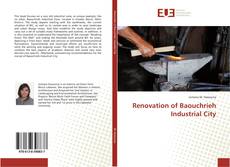 Copertina di Renovation of Baouchrieh Industrial City