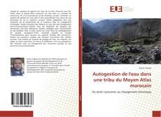 Copertina di Autogestion de l'eau dans une tribu du Moyen Atlas marocain