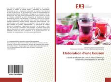 Elaboration d’une boisson kitap kapağı
