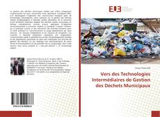 Copertina di Vers des Technologies Intermédiaires de Gestion des Déchets Municipaux