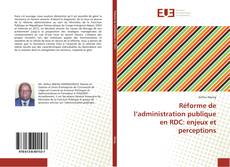Réforme de l’administration publique en RDC: enjeux et perceptions的封面