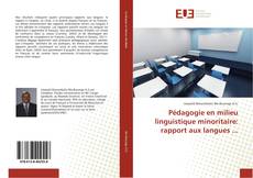 Copertina di Pédagogie en milieu linguistique minoritaire: rapport aux langues ...