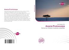 Acacia Pruinocarpa的封面