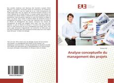 Buchcover von Analyse conceptuelle du management des projets