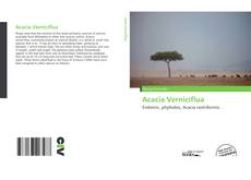Bookcover of Acacia Verniciflua