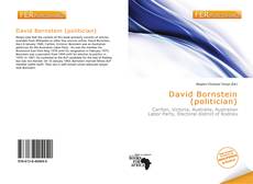 David Bornstein (politician) kitap kapağı