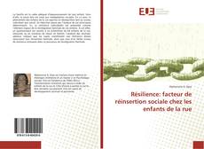 Bookcover of Résilience: facteur de réinsertion sociale chez les enfants de la rue