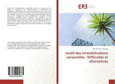 Copertina di Audit des immobilisations corporelles : Difficultés et alternatives