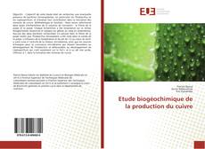 Etude biogéochimique de la production du cuivre的封面