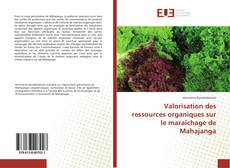 Bookcover of Valorisation des ressources organiques sur le maraîchage de Mahajanga