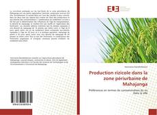 Copertina di Production rizicole dans la zone périurbaine de Mahajanga