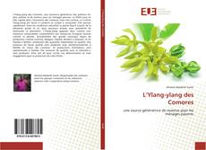 Buchcover von L’Ylang-ylang des Comores