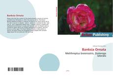 Bookcover of Banksia Ornata