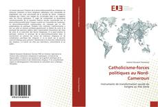 Buchcover von Catholicisme-forces politiques au Nord-Cameroun