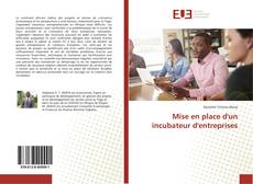 Bookcover of Mise en place d'un incubateur d'entreprises