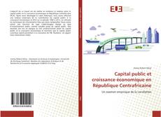 Buchcover von Capital public et croissance économique en République Centrafricaine